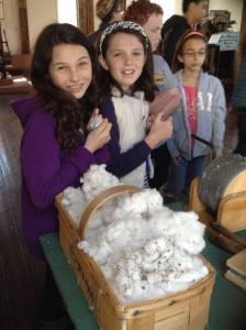 The cotton gin revolutionized the cotton industry