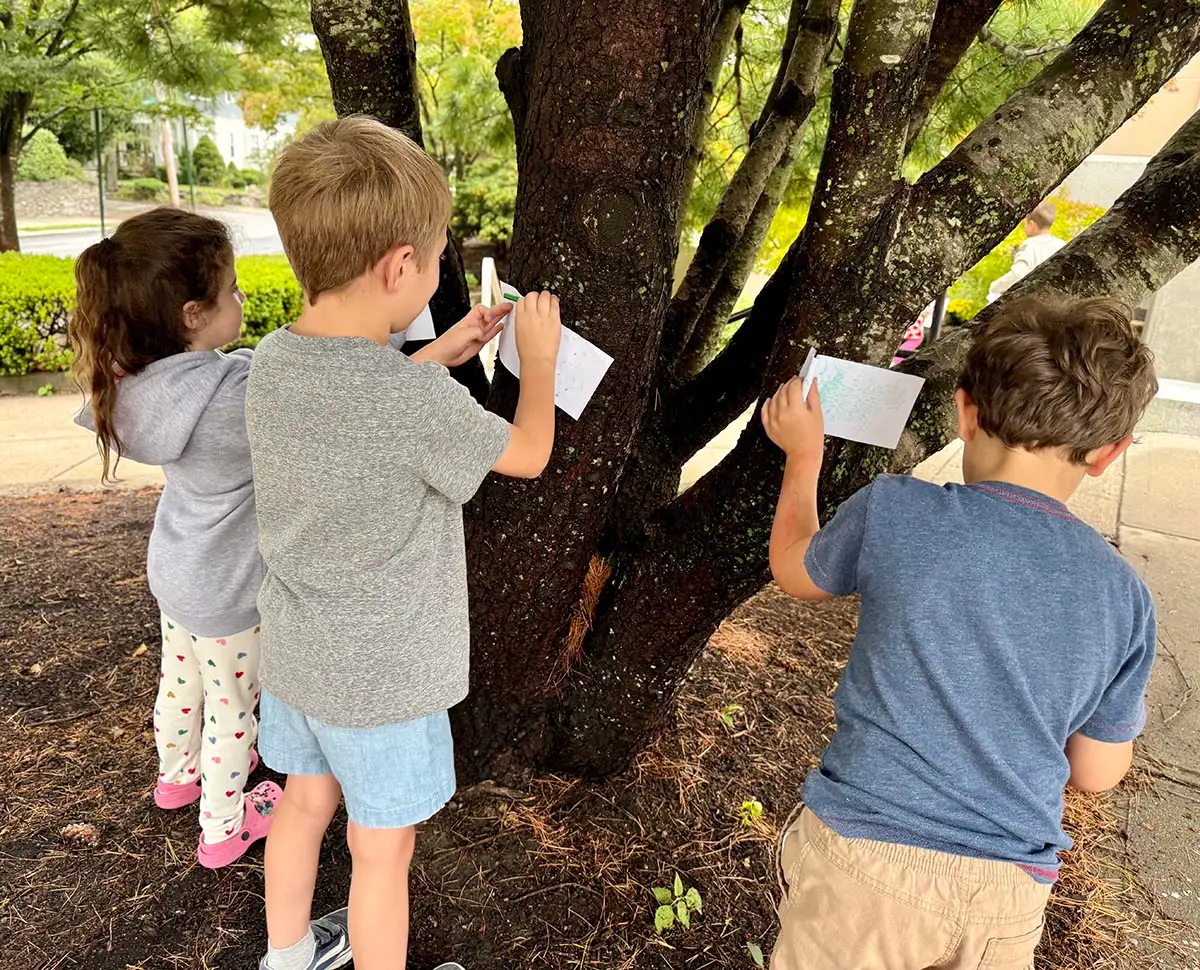 Students creating bark rubbings and studying tree textures outdoors