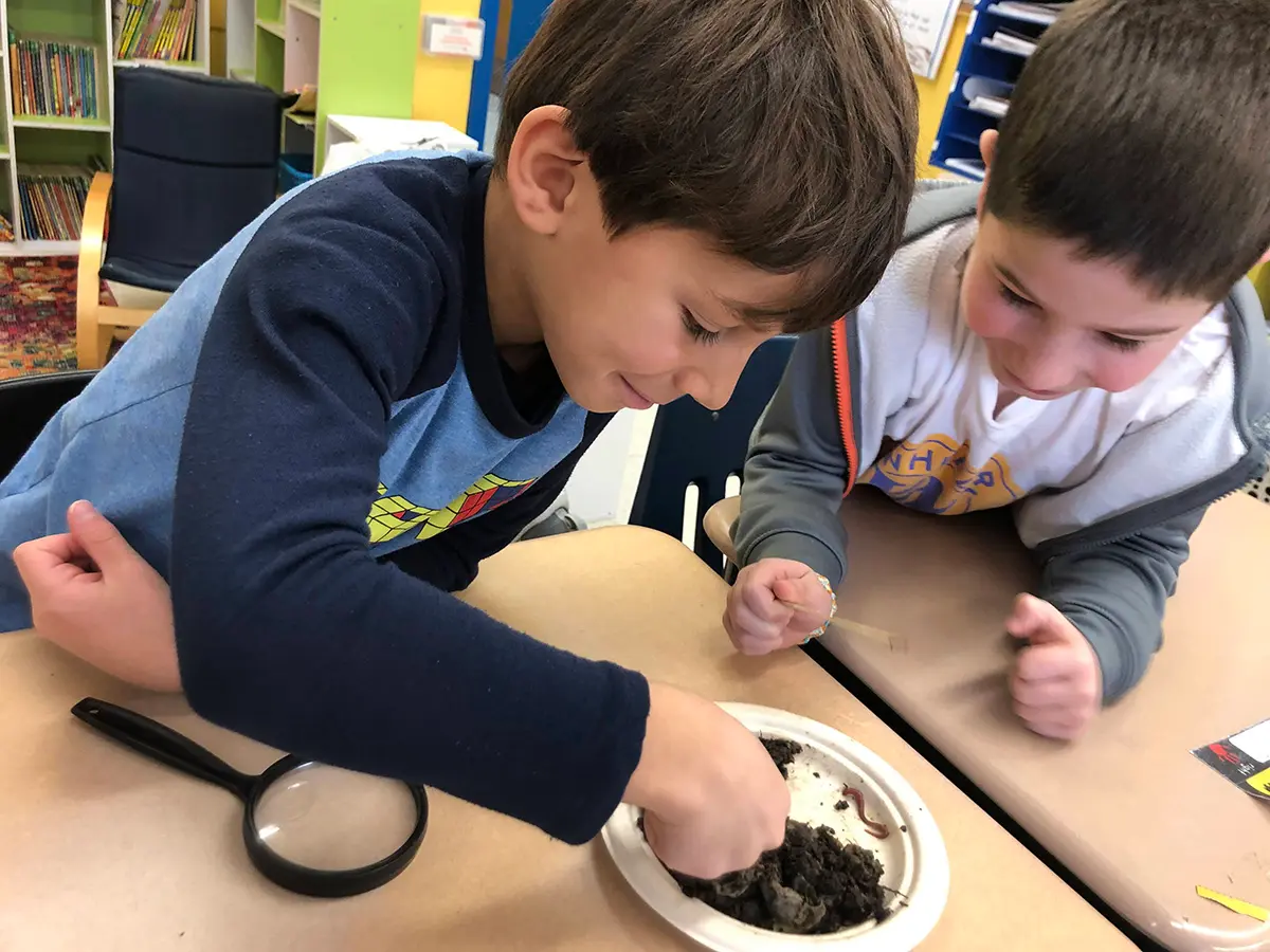 Students engaged in environmental study and restoration activities